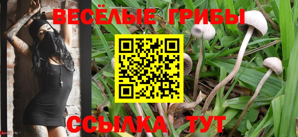 Галлюциногенные грибы мицелий Кинель